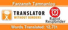 English to Persian (Farsi) & Persian (Farsi) to English volunteer translator